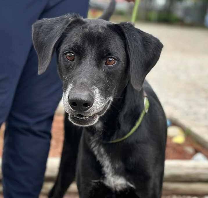 Photo of Remington