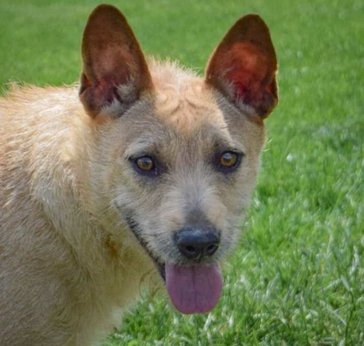Photo of Fresca