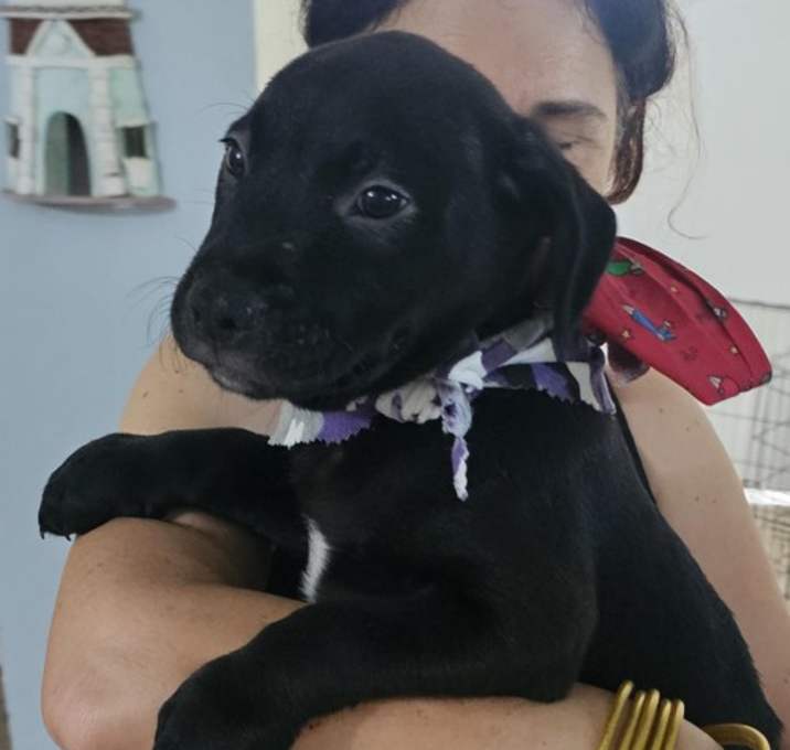 Photo of Mateo