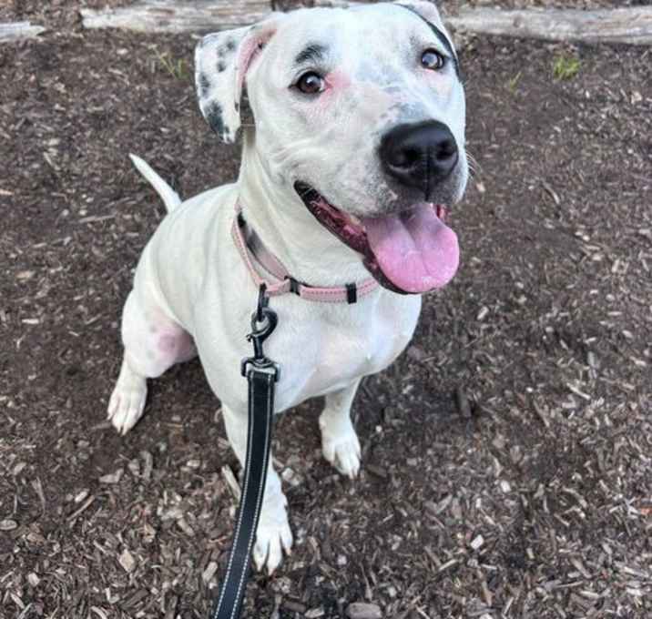 Photo of Cutie