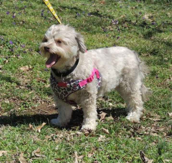 Photo of REECIE