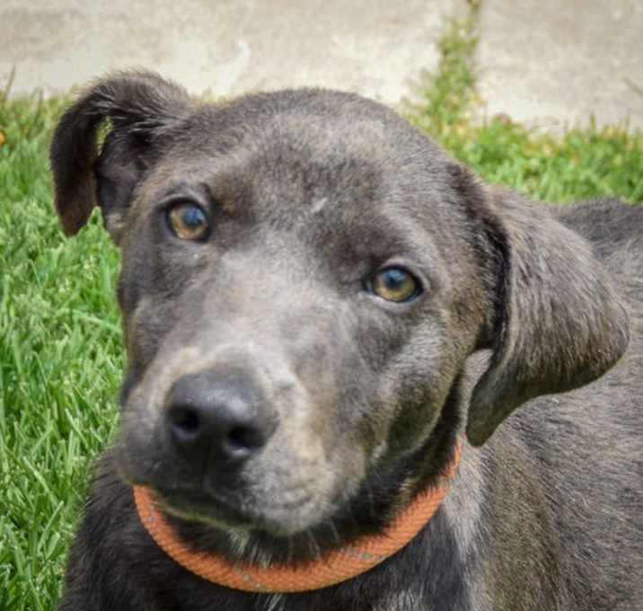 Photo of Janie