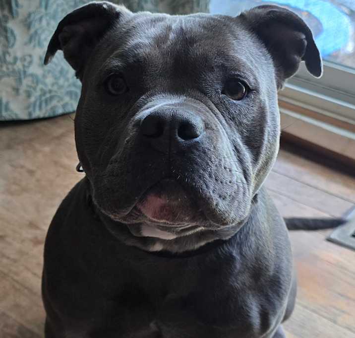 Photo of Rosie