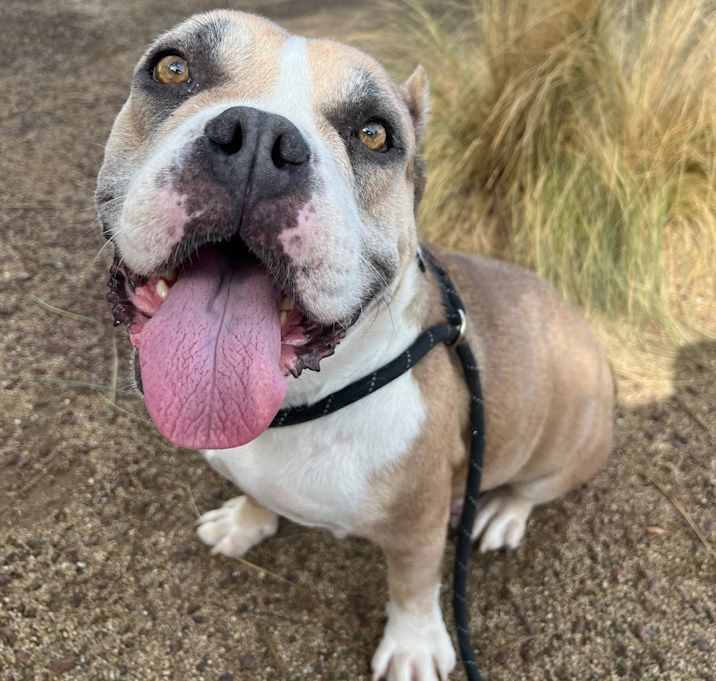 Photo of Phoebe 