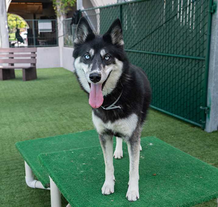 Photo of MISKA