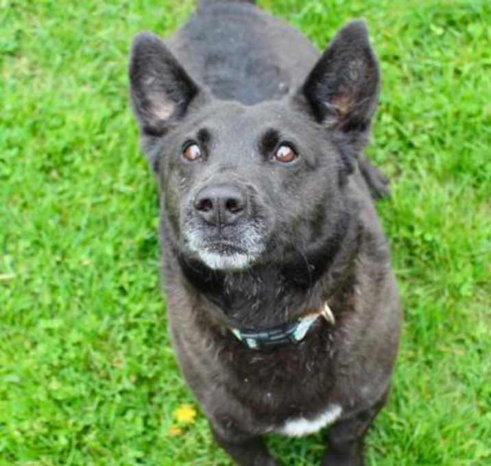 Photo of Luca