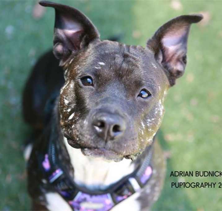 Photo of NEVAEH