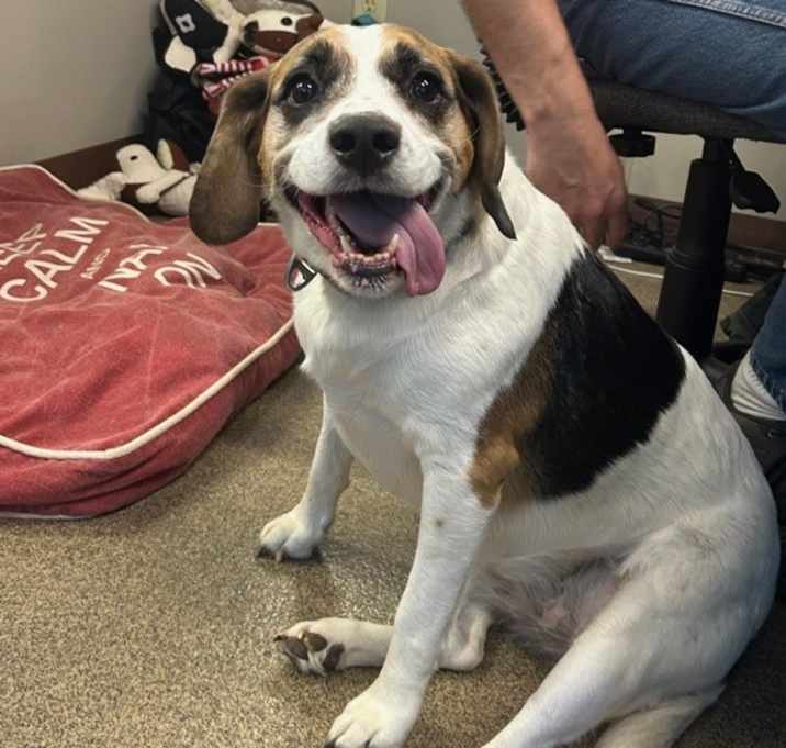 Photo of Maggie