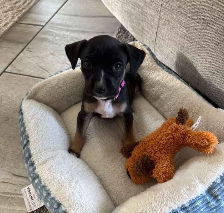 Photo of Olivia
