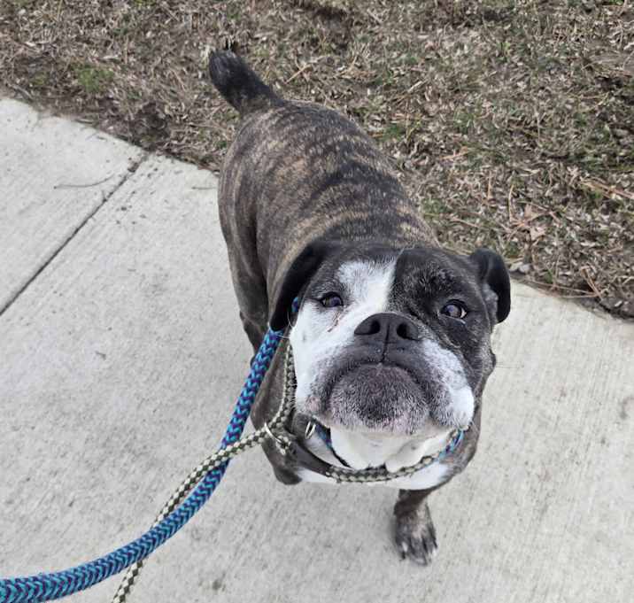 Photo of Missy