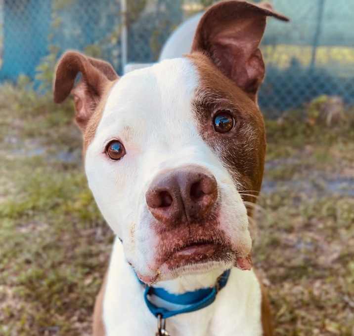 Photo of Tyson