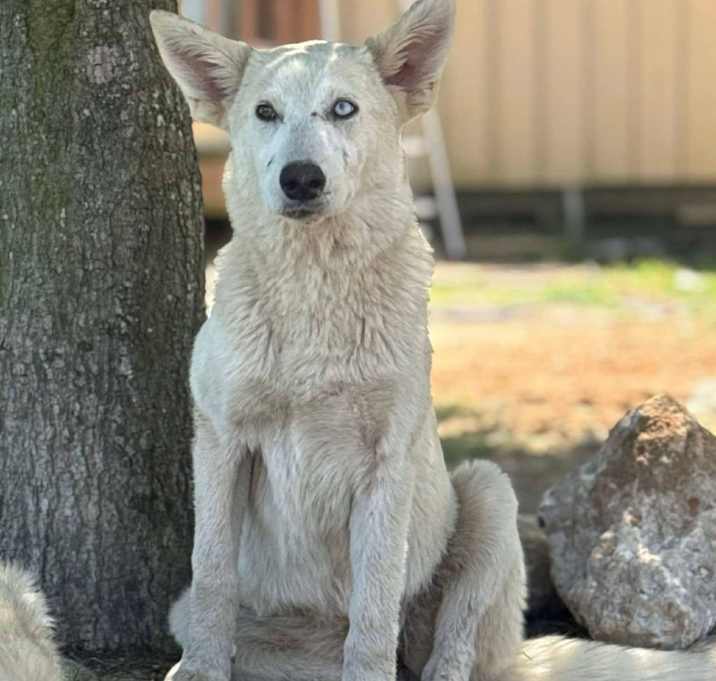 Photo of Winnie