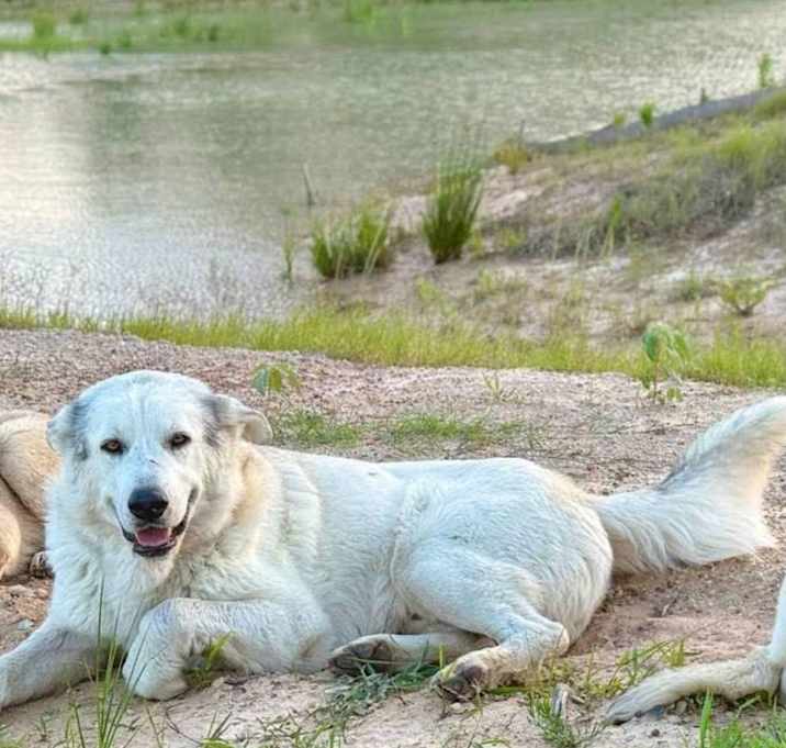 Photo of Wyatt