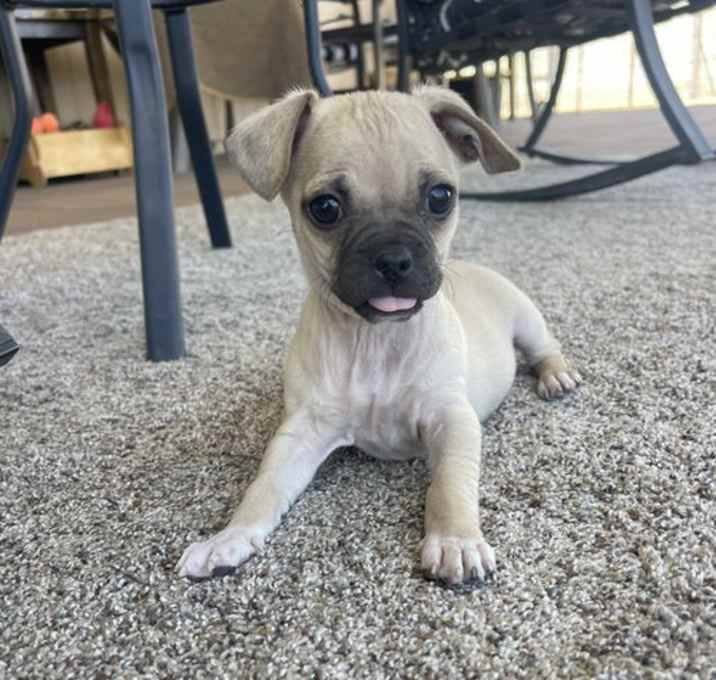 Photo of Jake