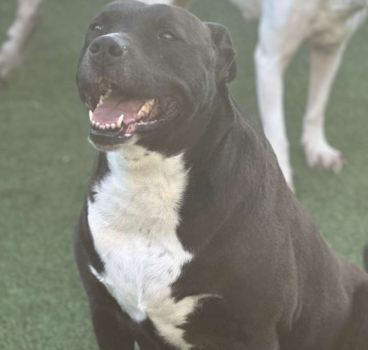 Photo of Vera