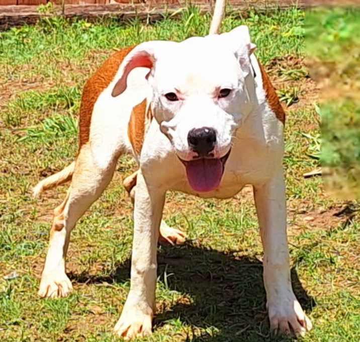 Photo of 250545  Finn