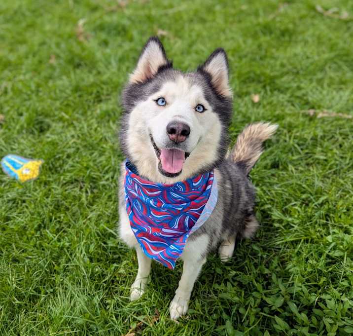Photo of Athena