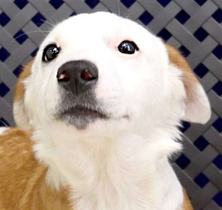 Photo of Fritz