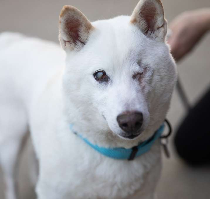 Photo of Zenji