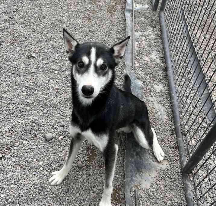 Photo of Kenai