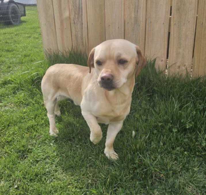 Photo of Waylon