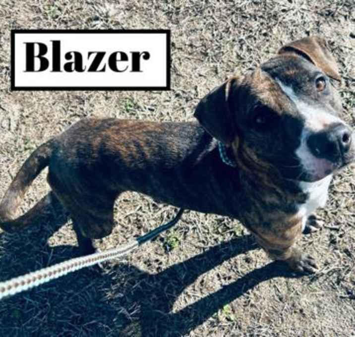 Photo of Blazer/HW-