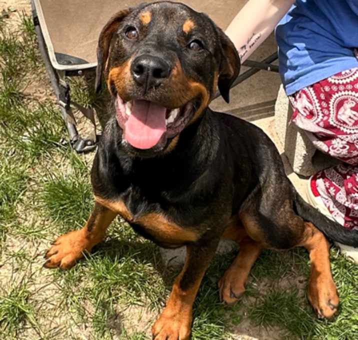 Photo of Trixie