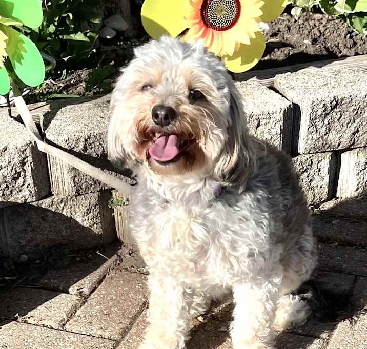 Photo of LunaLee