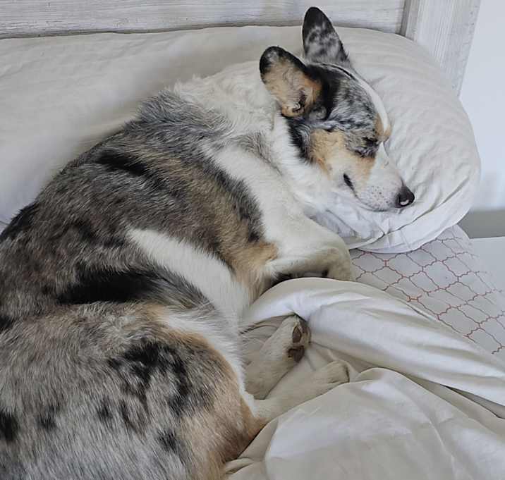 Photo of Maggie