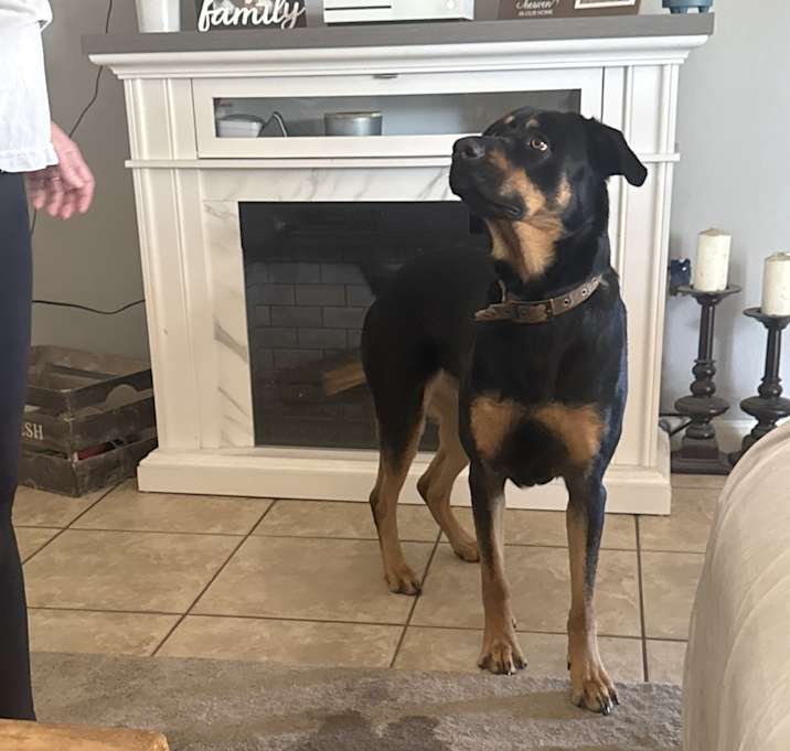 Photo of Penelope