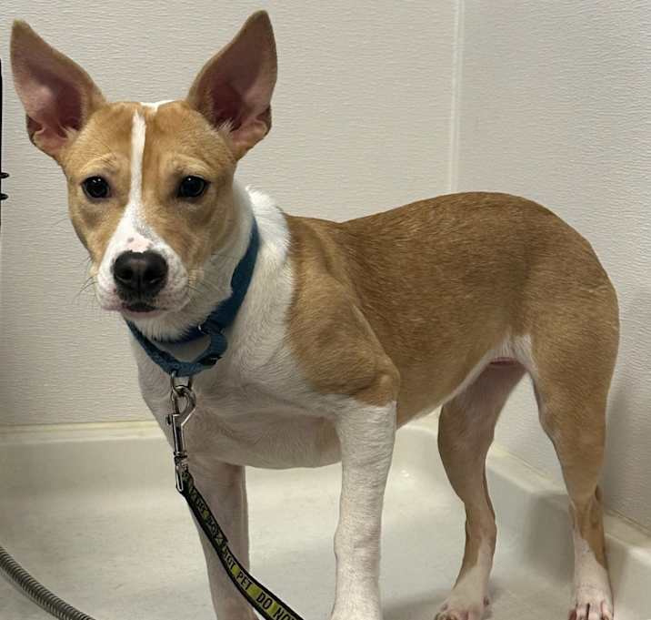 Photo of Snacks-In a Foster Home