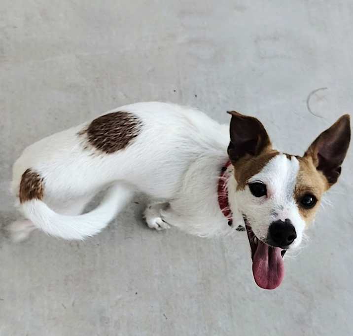 Ricky Photo #3