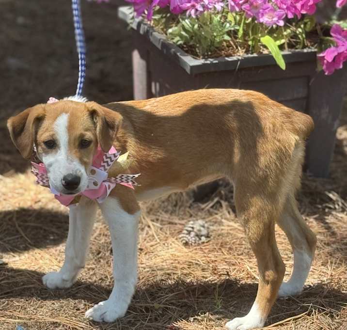 Photo of LOLA