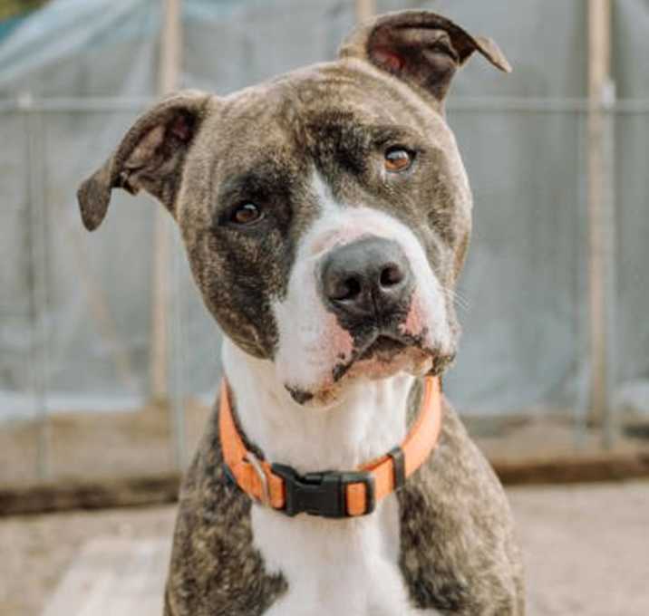Photo of Max