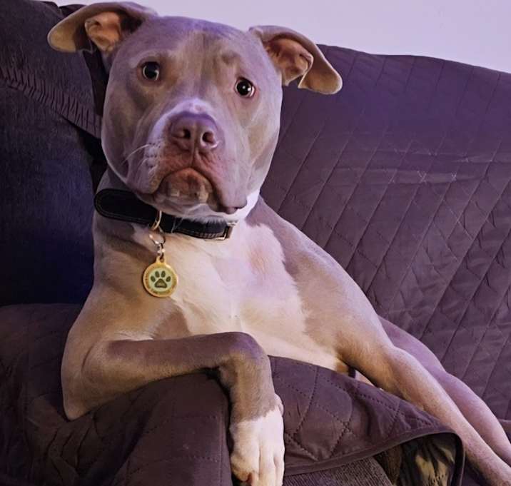 Photo of Ghost