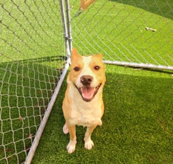 Photo of Shilo