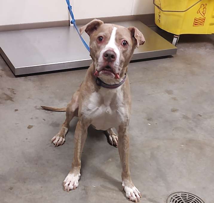 Photo of Remington