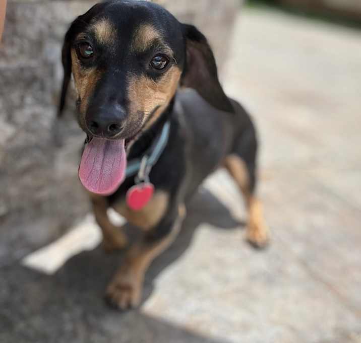 Photo of Cruz