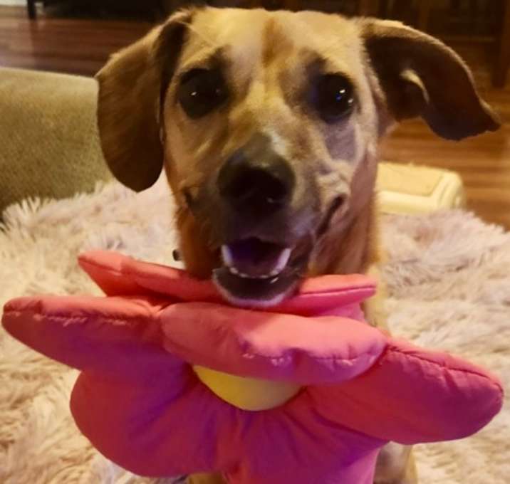 Photo of Keira