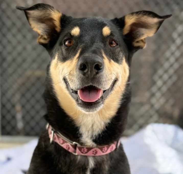 Photo of Zula
