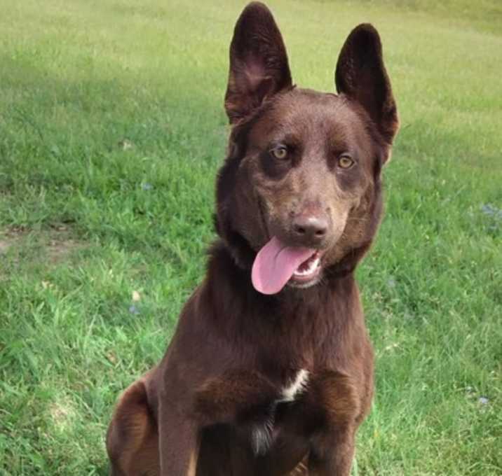 Photo of Ducky