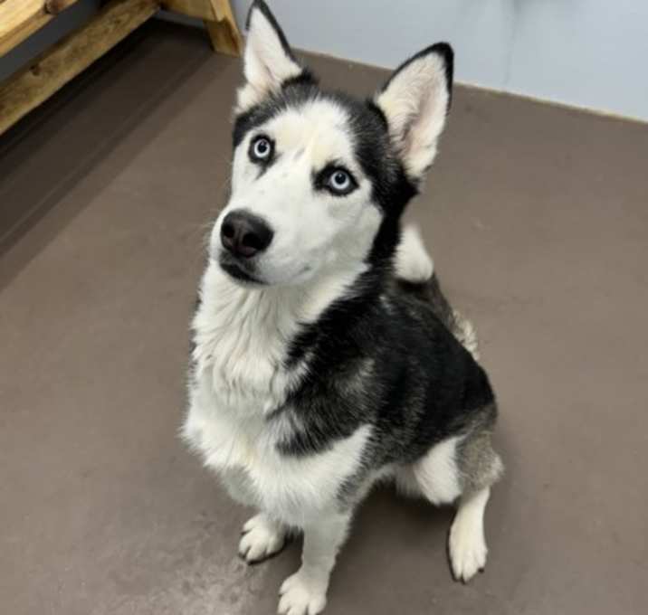Photo of Jinx