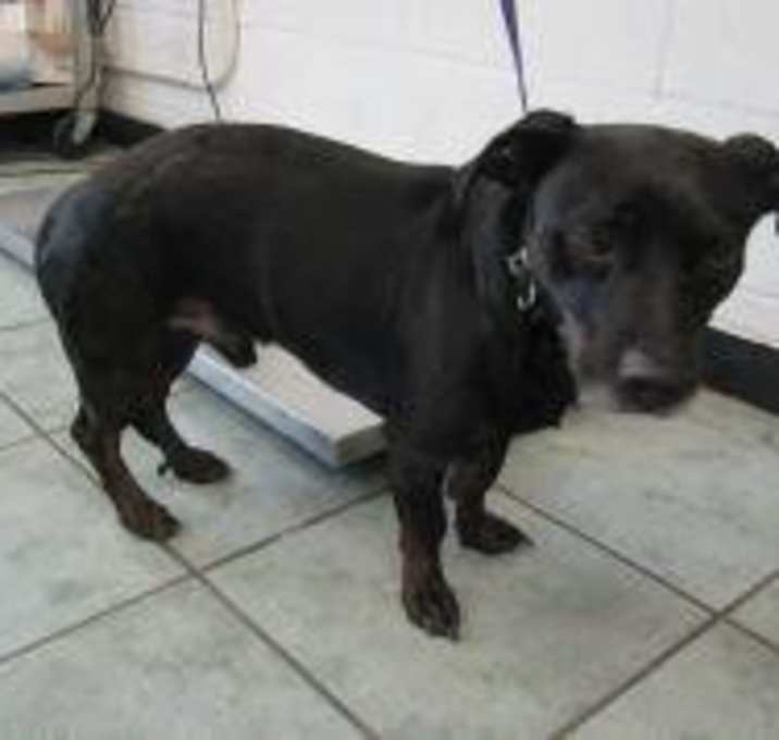 Photo of Murphy