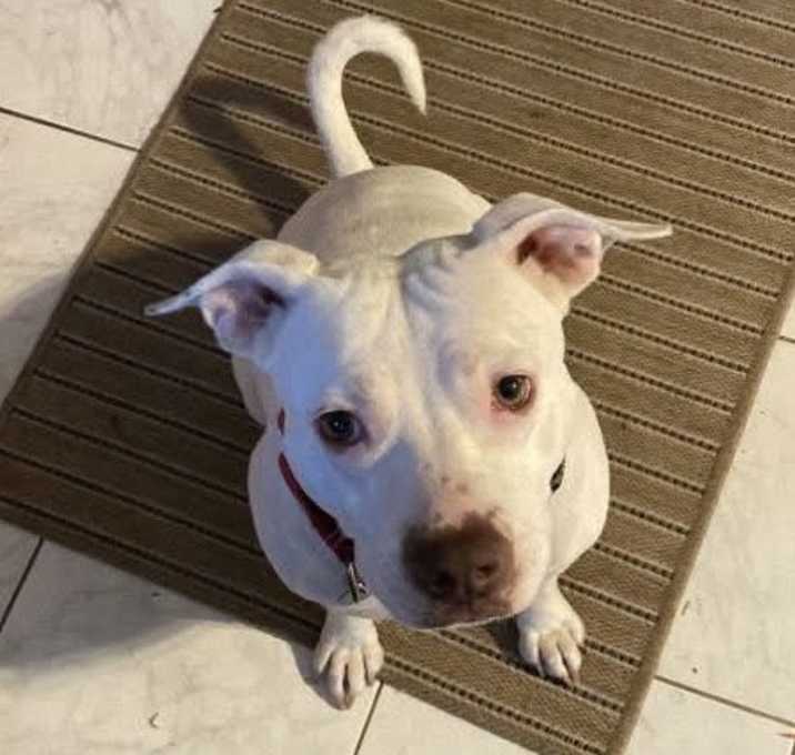 Photo of Mabel