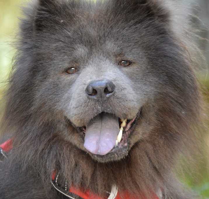 Photo of BLUE
