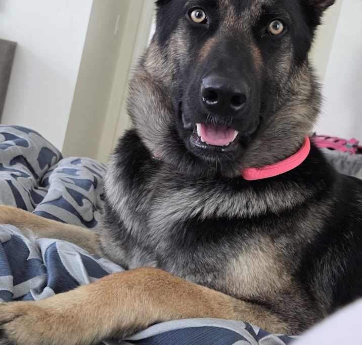Photo of Mia