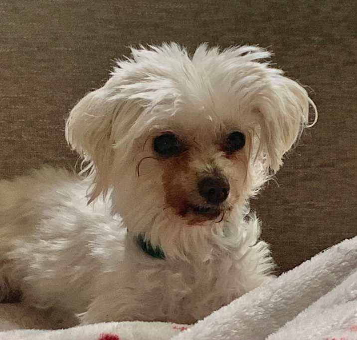 Photo of Moxy