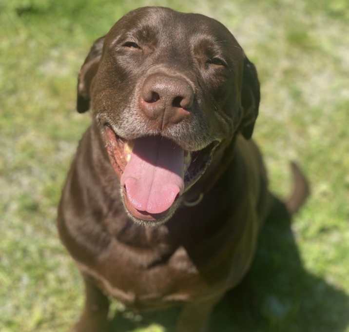 Photo of Rocky