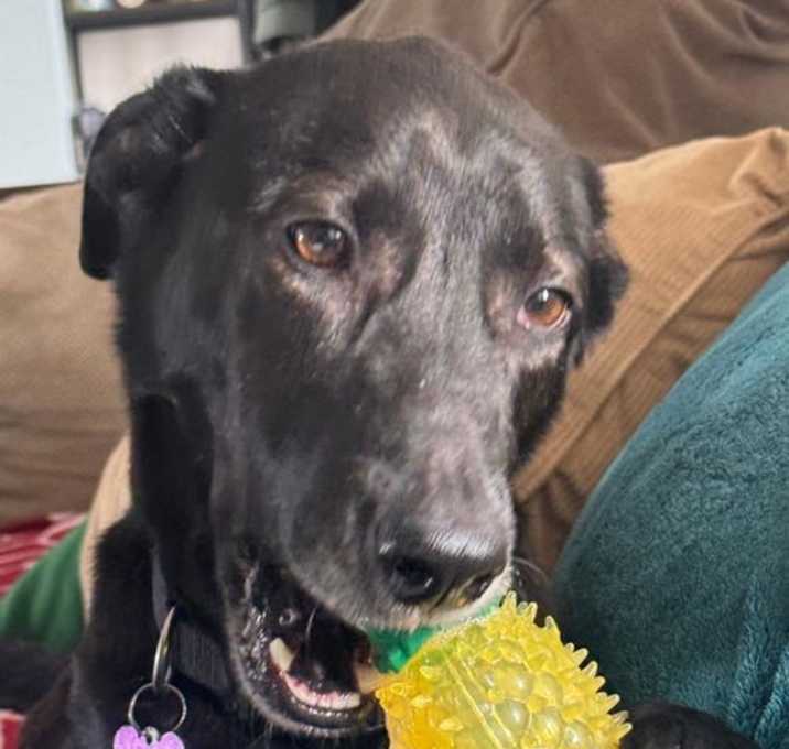 Photo of Tank