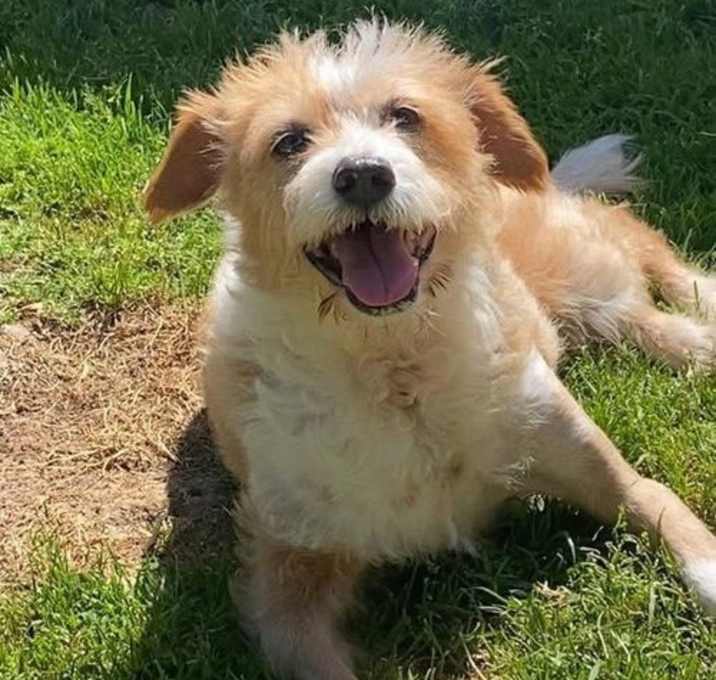 Photo of Scooshy